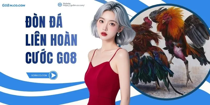 don-da-lien-hoan-cuoc-go8