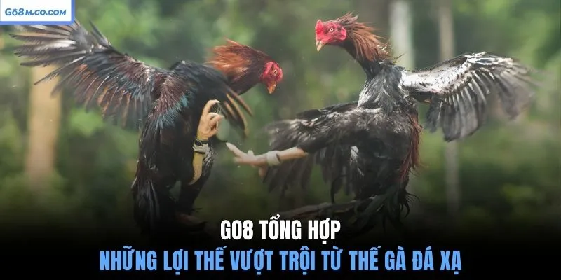 go8-tong-hop-nhung-loi-the-vuot-troi-tu-the-ga-da-xa