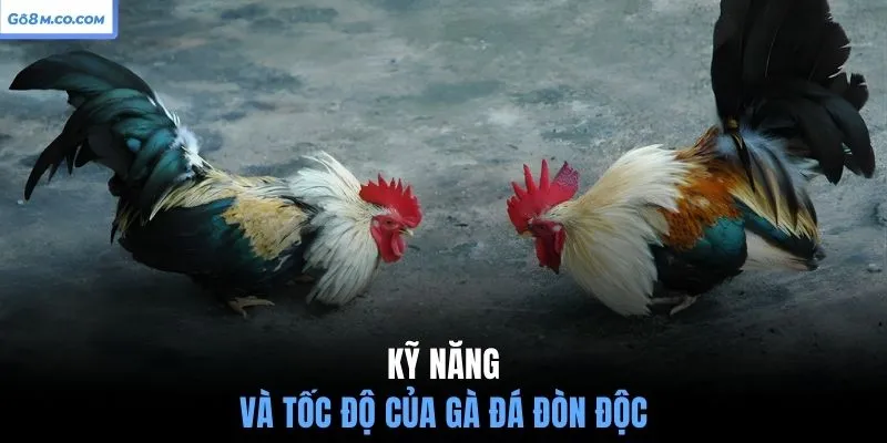 ky-nang-va-toc-do-cua-ga-da-don-doc