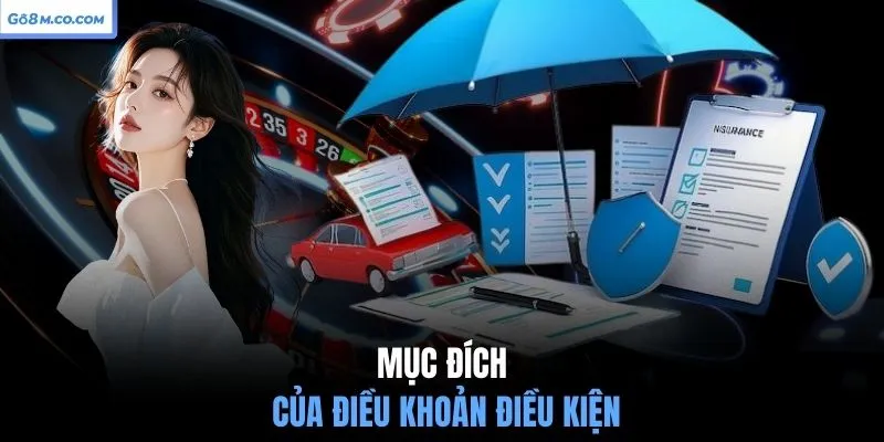 muc-dich-cua-dieu-khoan-dieu-kien